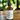 Bottle of Naturally Soap Lemon Face & Skin Elixir on a wooden surface with a blurred green background