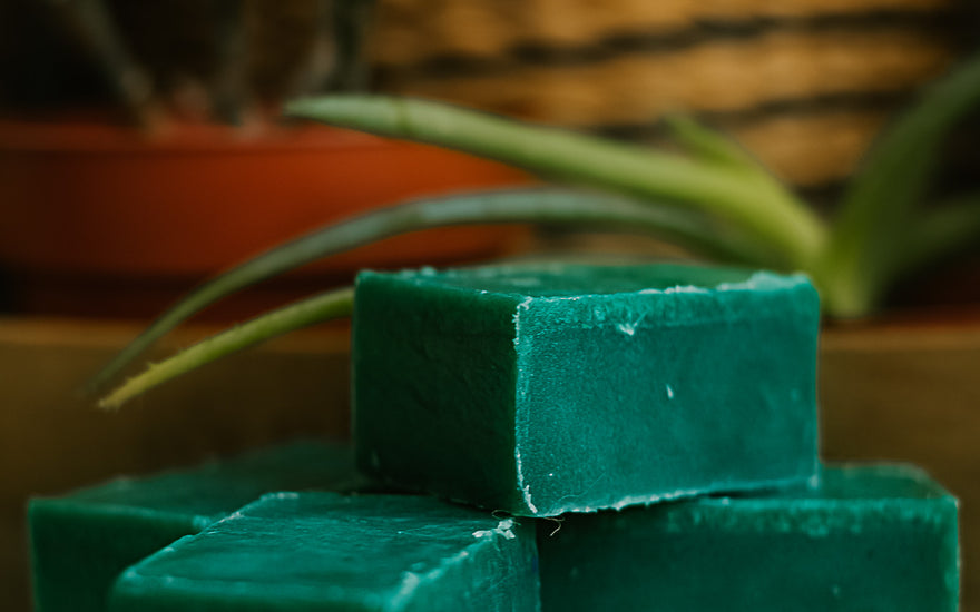 Dark green soap bars cut into rectangles, stacked on top of a wooden tree slab. Aloe Vera plant in the background